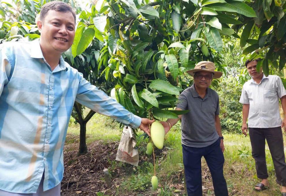 Tình hình sản xuất vườn cây ăn trái xã Mỹ Hiệp trong tháng 04/2025